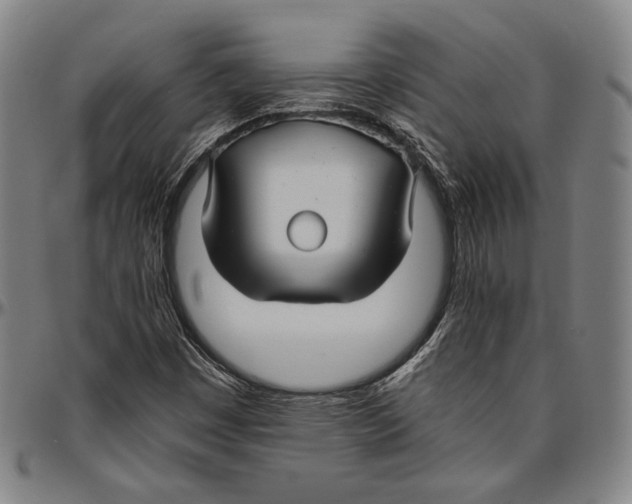 X0000096481449200802211203