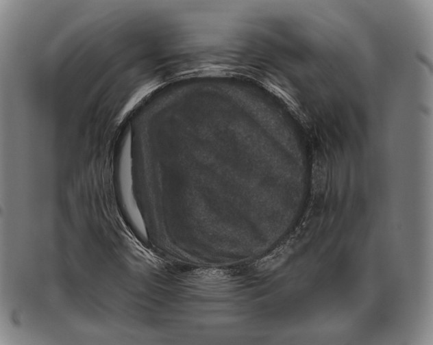 X0000096481450200802211203