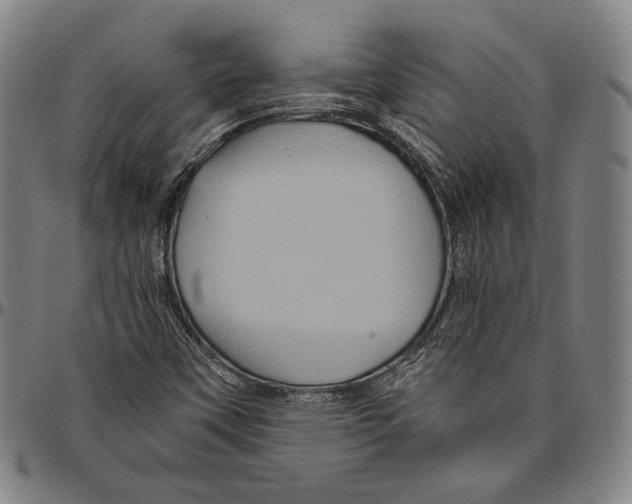 X0000096481451200802211203