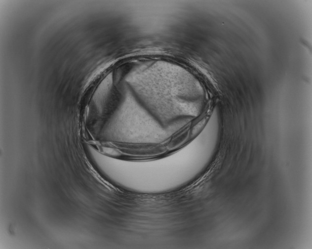 X0000096481452200802211203