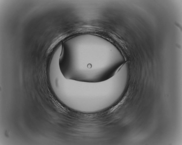 X0000096481453200802211203