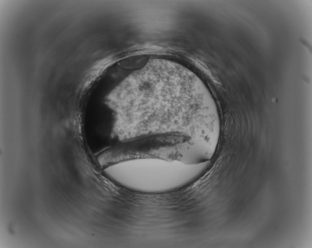 X0000096481455200802211203