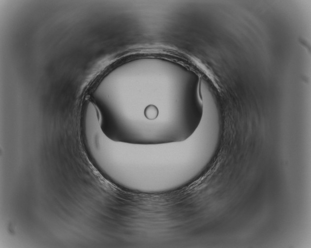 X0000096481456200802211203