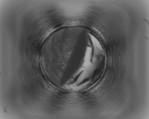 X0000096481457200802211203