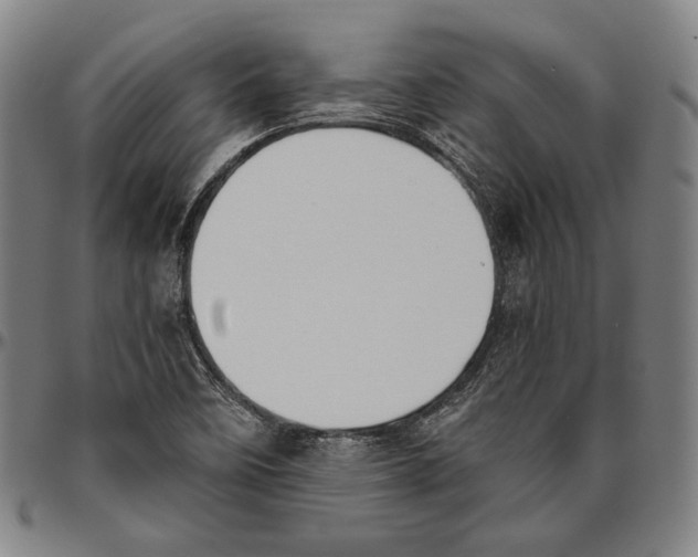 X0000096481458200802211203