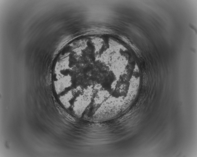 X0000096481459200802211203