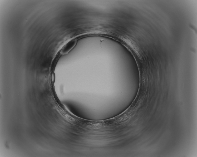 X0000096481460200802211203