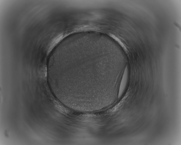 X0000096481461200802211203