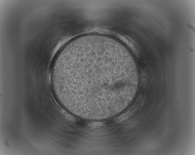 X0000096481462200802211203