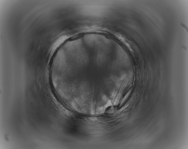 X0000096481463200802211203