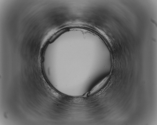 X0000096481464200802211203