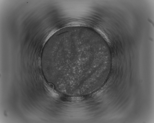 X0000096481465200802211203