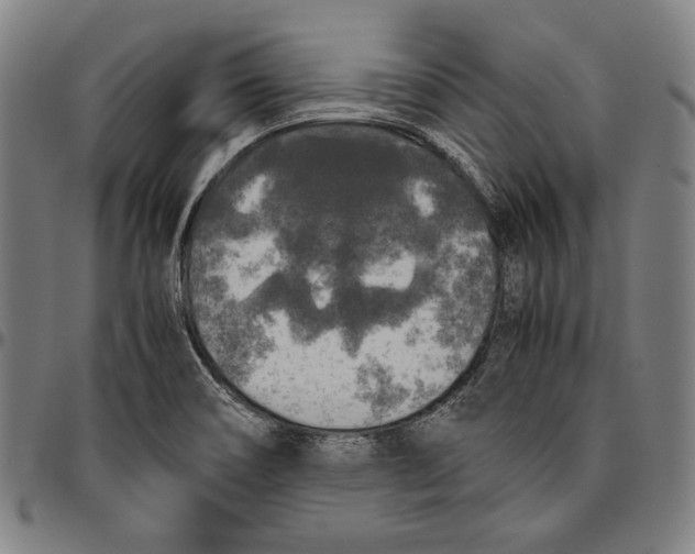 X0000096481466200802211203