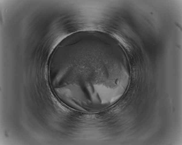 X0000096481468200802211203