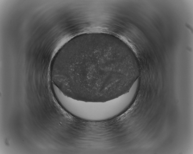 X0000096481469200802211203