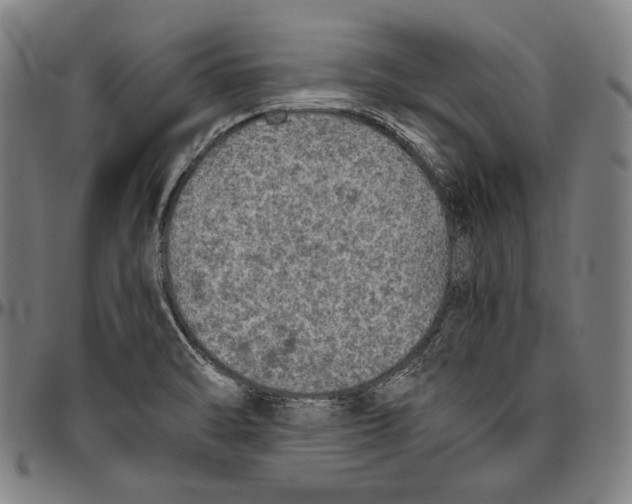 X0000096481470200802211203