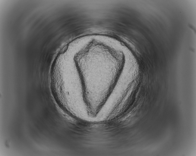 X0000096481471200802211203