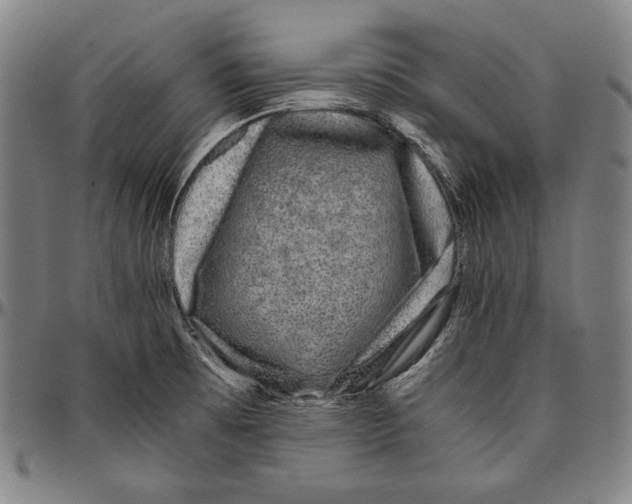 X0000096481473200802211203