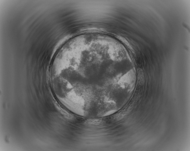 X0000096481474200802211203