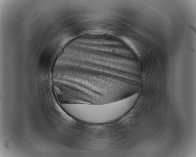 X0000096481476200802211202