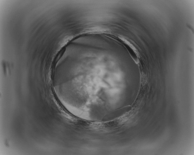 X0000096481477200802211202