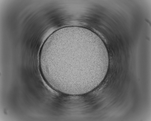 X0000096481479200802211202