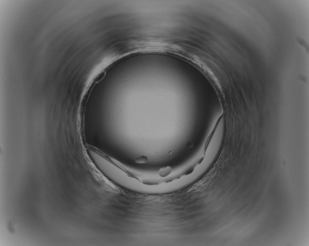 X0000096481480200802211202