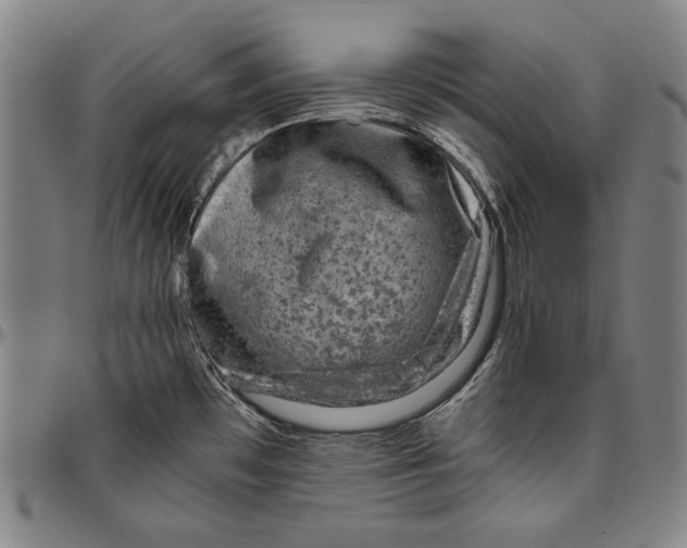 X0000096481481200802211202