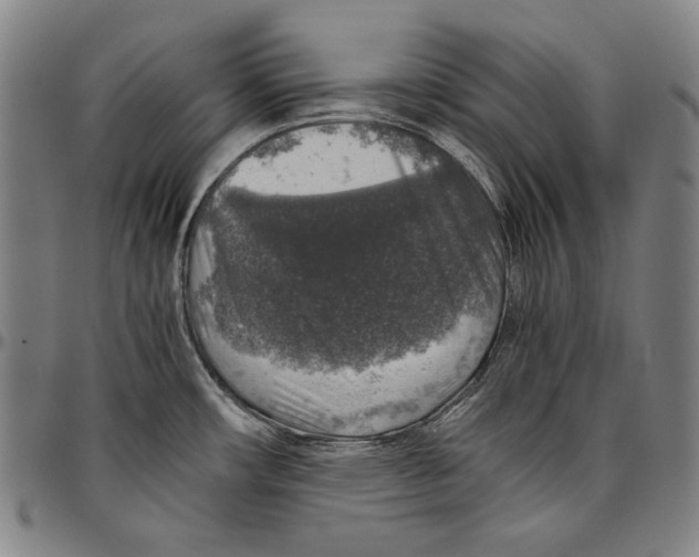 X0000096481482200802211202