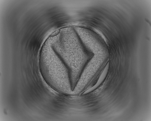 X0000096481483200802211202