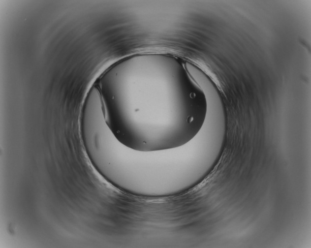 X0000096481484200802211202