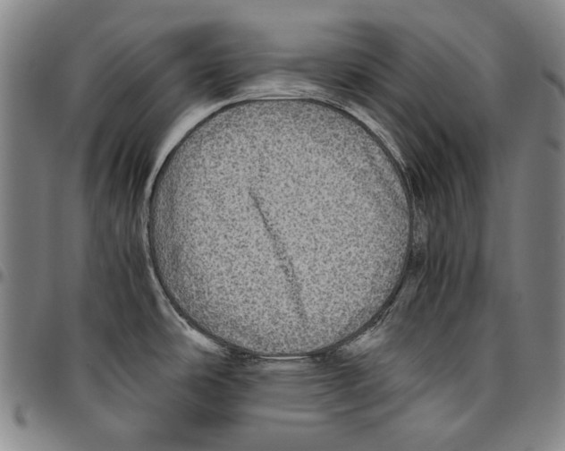 X0000096481486200802211202