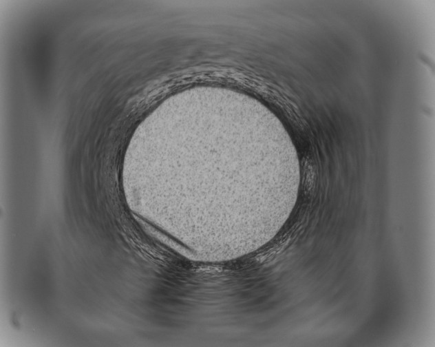 X0000096481489200802211202