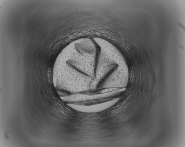 X0000096481490200802211202