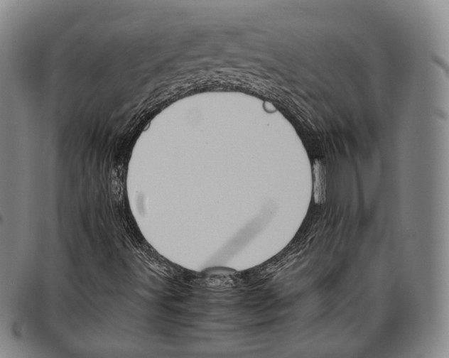 X0000096481491200802211202