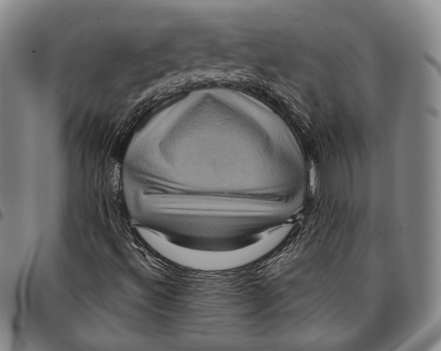 X0000096481492200802211202