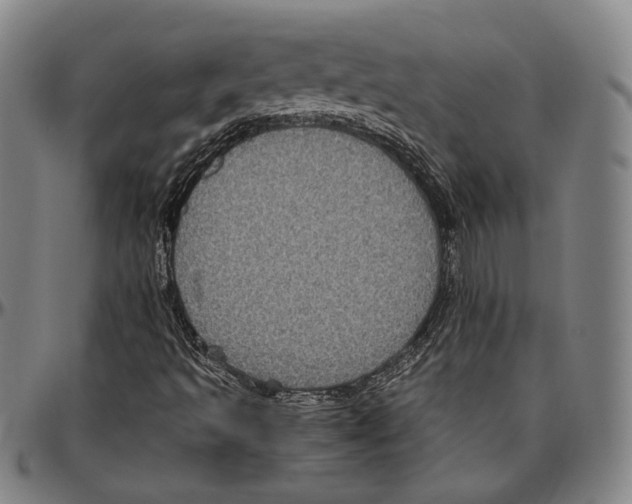 X0000096481493200802211202