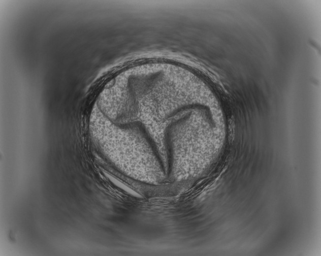 X0000096481494200802211202