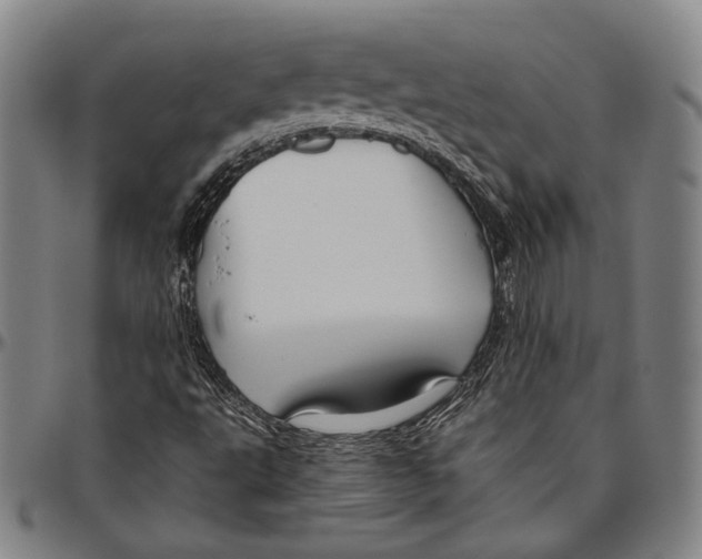 X0000096481495200802211202