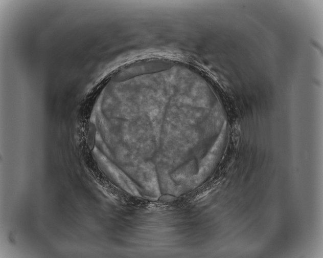 X0000096481496200802211202