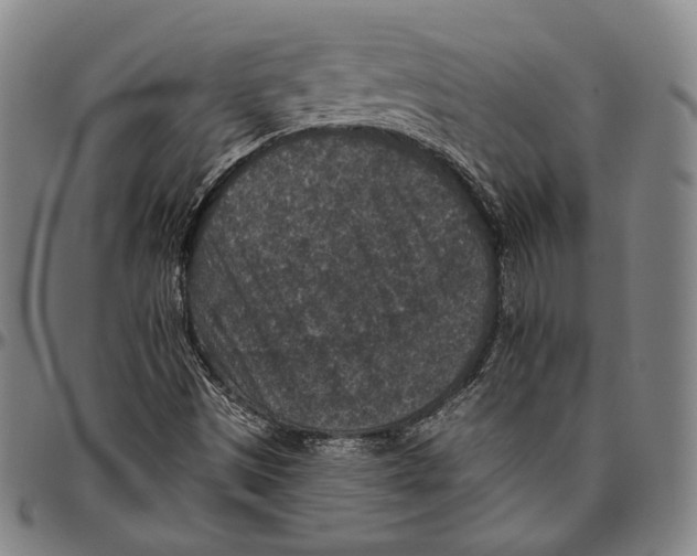 X0000096481497200802211202