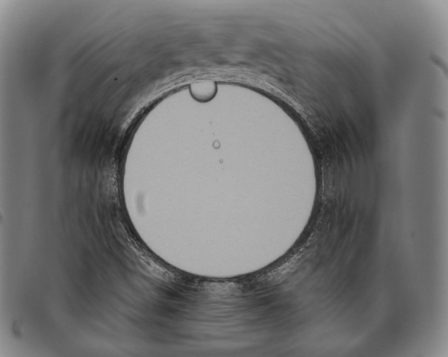 X0000096481498200802211202