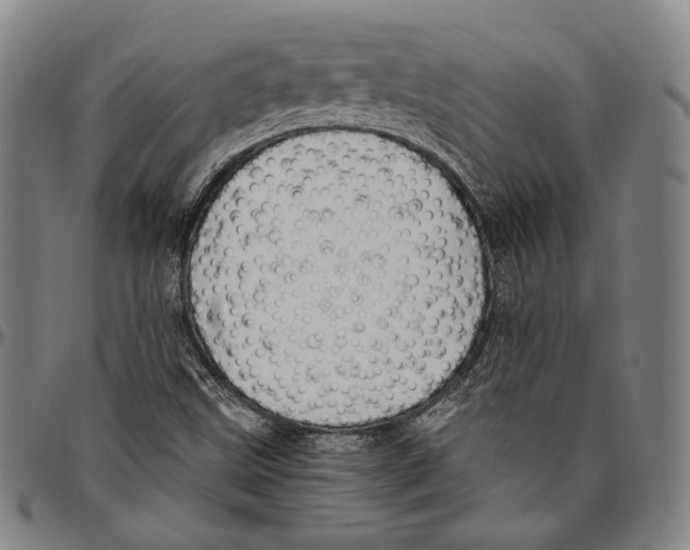 X0000096481499200802211202