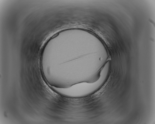 X0000096481500200802211202