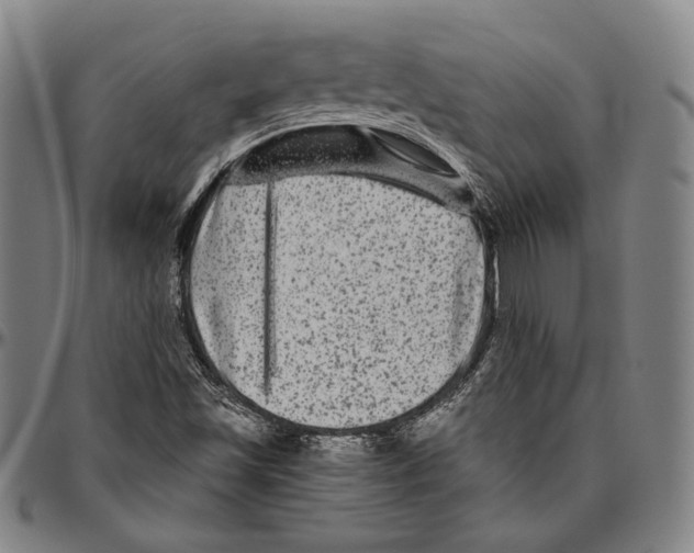 X0000096481501200802211202