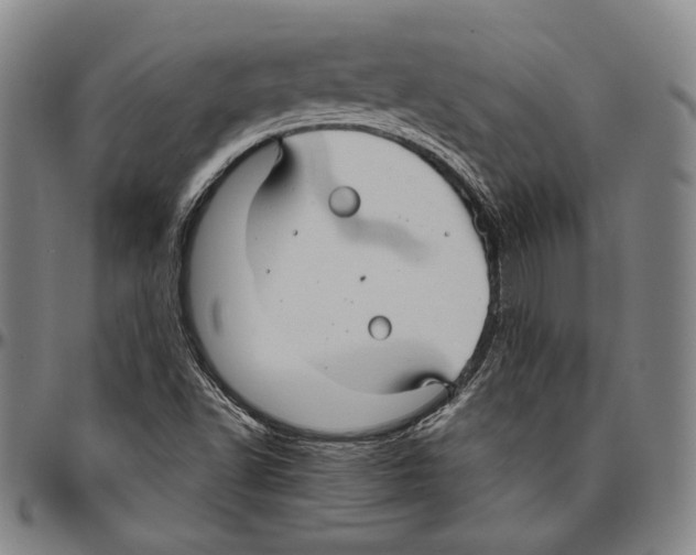 X0000096481502200802211202