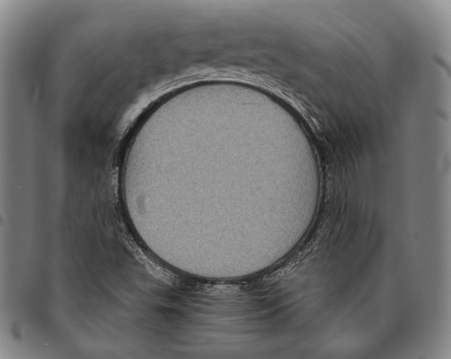 X0000096481503200802211202