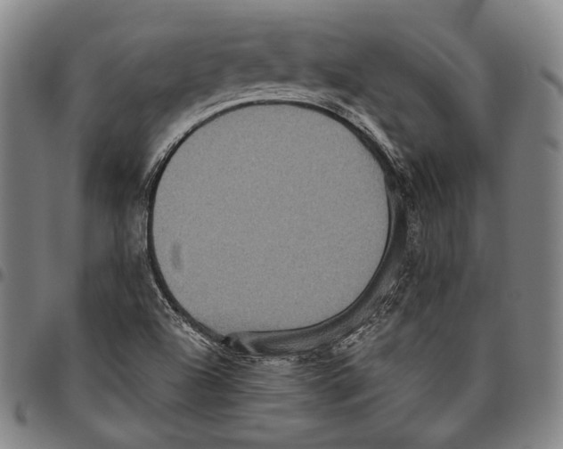 X0000096481504200802211202