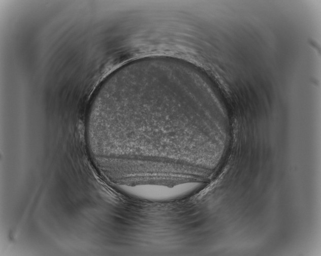 X0000096481505200802211202