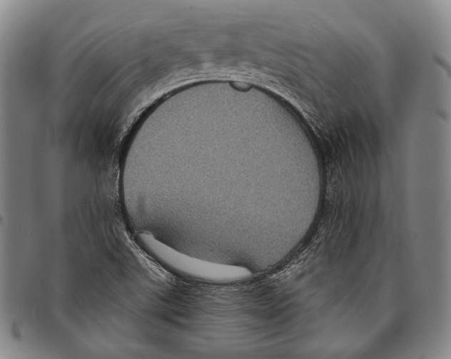 X0000096481507200802211202